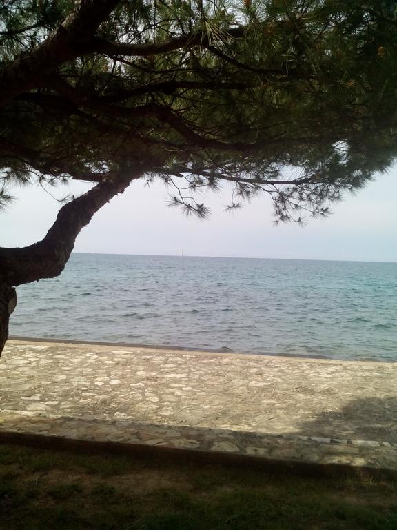 House Monika Apartment Porec Bagian luar foto